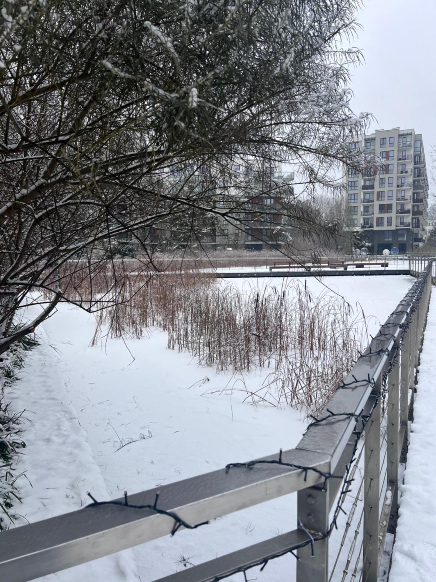 Апартаменты Lake Park Apartament With Free Parking Airport Netflix Варшава Экстерьер фото