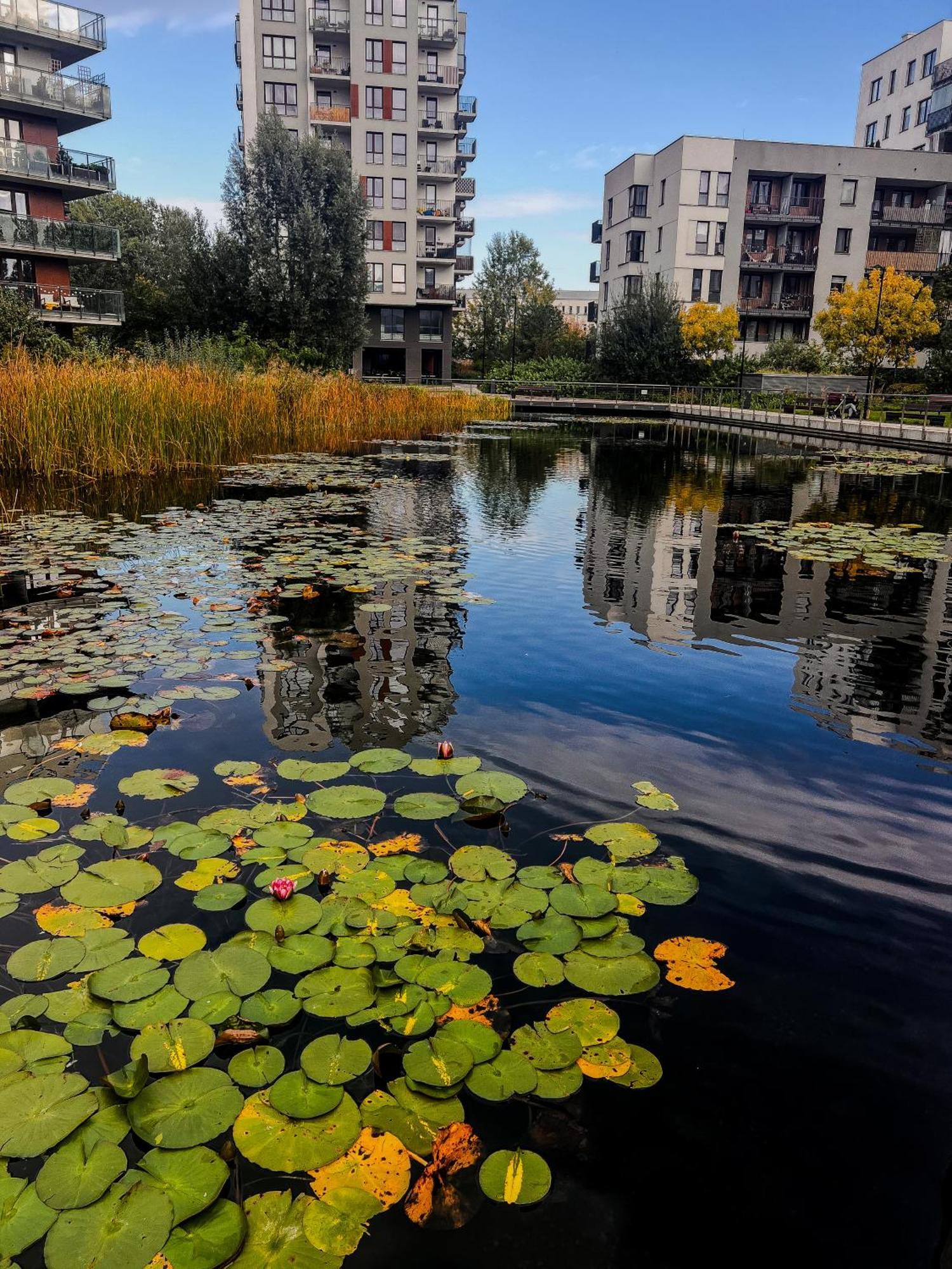 Апартаменты Lake Park Apartament With Free Parking Airport Netflix Варшава Экстерьер фото