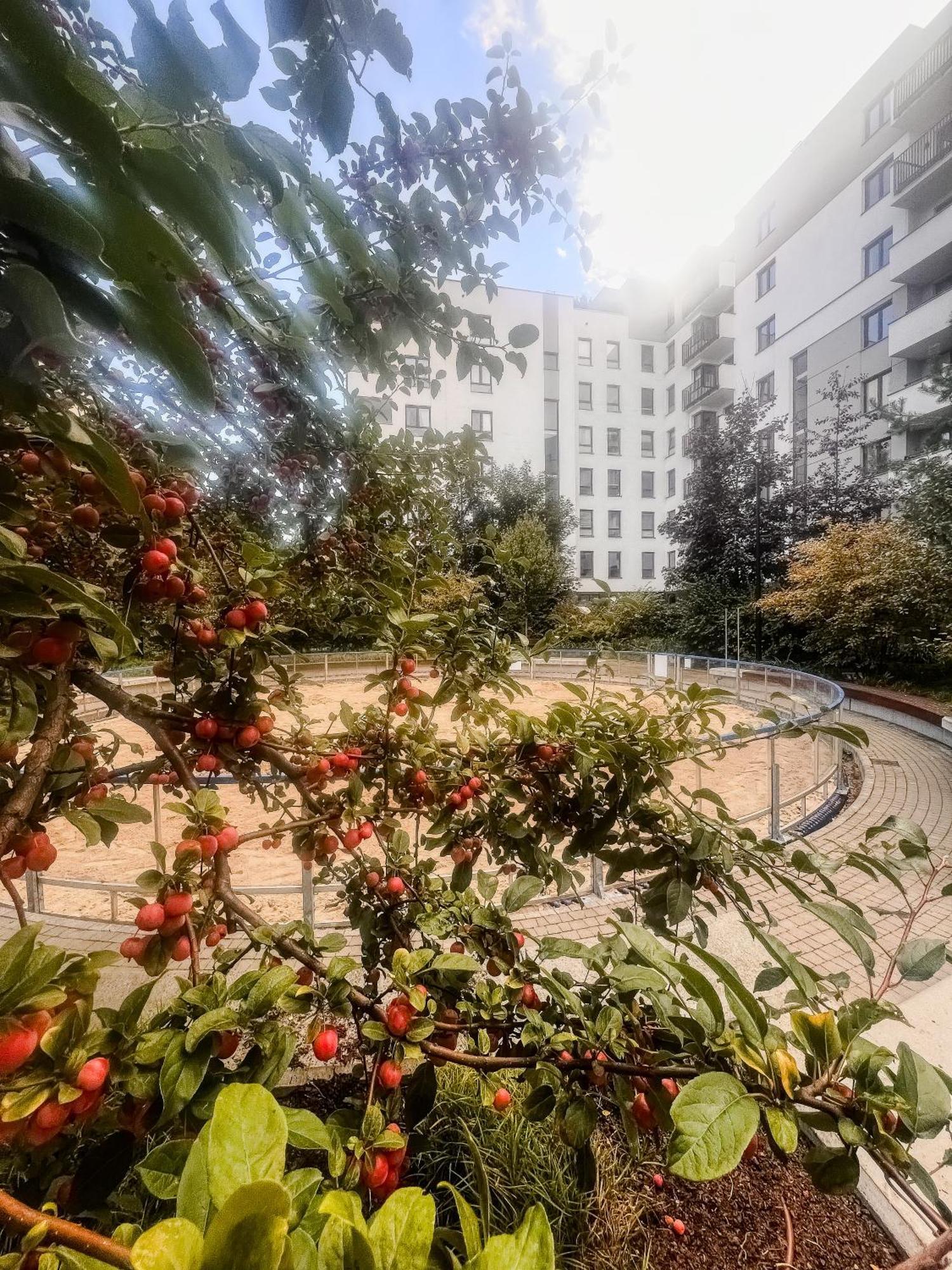 Апартаменты Lake Park Apartament With Free Parking Airport Netflix Варшава Экстерьер фото